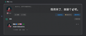 子比主题美化-添加私密评论功能·零号站台