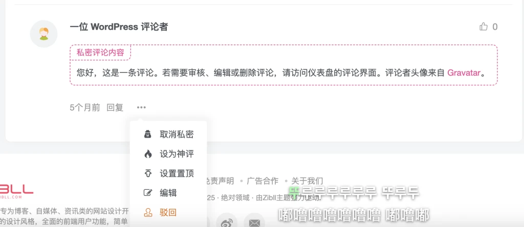 图片[2]·子比主题增加私密评论β·零号站台