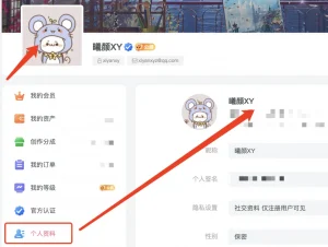 『子比功能自定义三』用户头像上传功能开关·零号站台